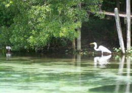 GlenLakes nature nature preserve