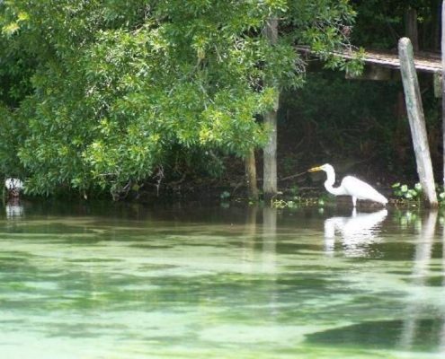 GlenLakes nature nature preserve