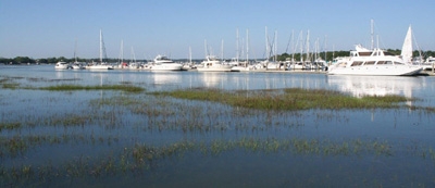 Hilton Head Plantation SC hilton head activities
