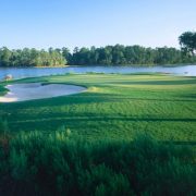 moss creek