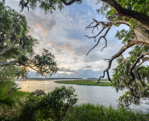 palmetto bluff