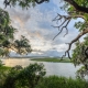 palmetto bluff