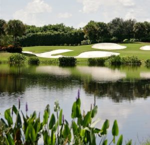 quail ridge