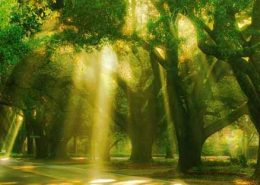 Woodside Plantation SC