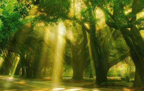 Woodside Plantation SC