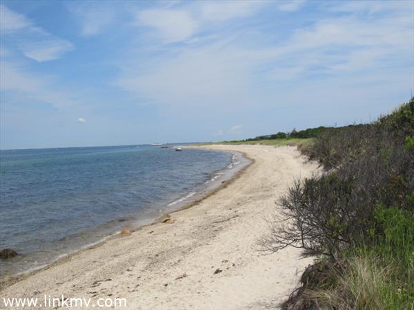 Martha's Vineyard Beach