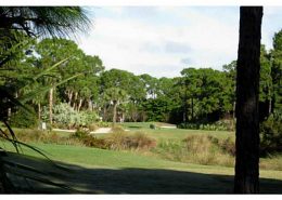 willoughby3460doubleton13 willoughby golf club