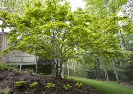 championhillslittlecherokee20 north carolina golf community