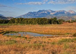 red ledges ut autumn
