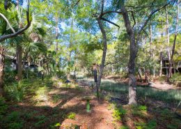 kiawah island sc kiawah island sc
