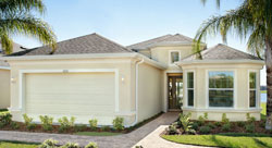 minto sun city tampa fl