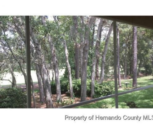 GlenLakes FL weeki wachee fl home