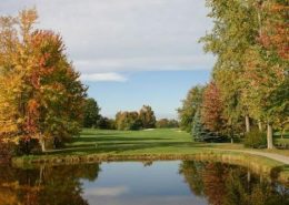 brookwoods-golf 7301 Club Drive, Quinton, VA 23141