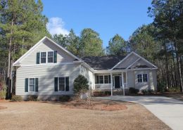Carolina Colours 3803 Lichen Lane