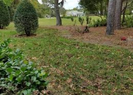 GlenLakes 8480 Maybelle