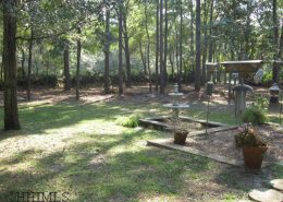 Hilton Head Plantation 2 wild turkey run