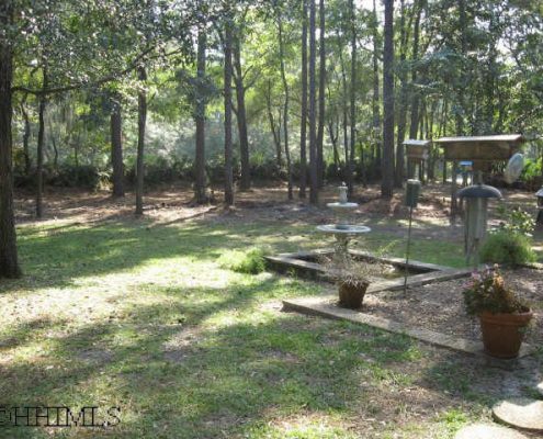 Hilton Head Plantation 2 wild turkey run