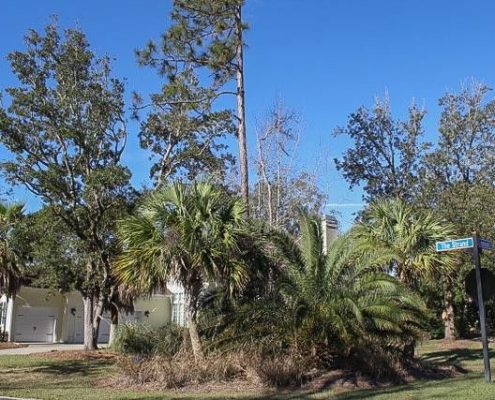 Osprey Cove 105 the strand