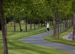 heritage shores walking trails heritage shores