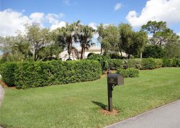 Harbour Ridge FL 1550 Buttonbush Circle