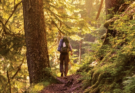 hiking