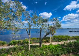 Harbour Ridge FL 12466 Harbour Ridge Blvd.