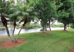 Indian River Colony Club 1400 Independence Avenue