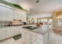 GlenLakes FL 9219 Grand Cypress Drive