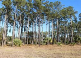 Palmetto Bluff 206 Davies Road