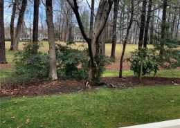 kingsmill532fairfax5 532 Fairfax Way