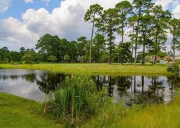 Ocean Ridge Plantation 6590 Willowbank Place