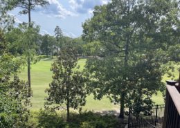 Diamante Country Club AK 6 Loyola Circle
