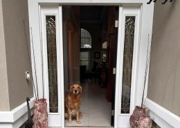 osprey dog 601 Goldenrod Way