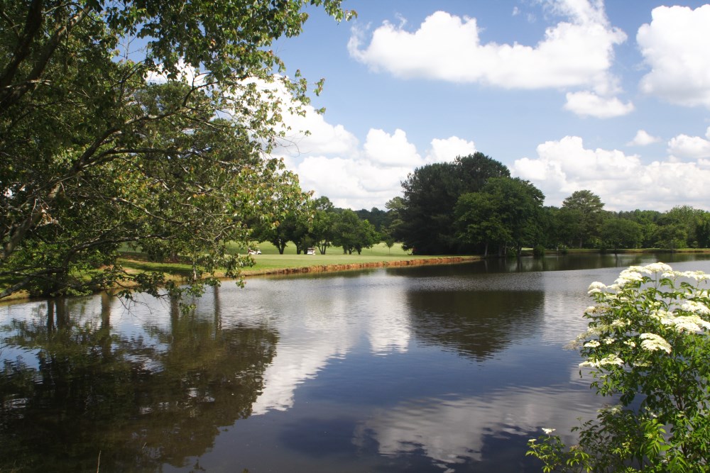 dogwood golf club