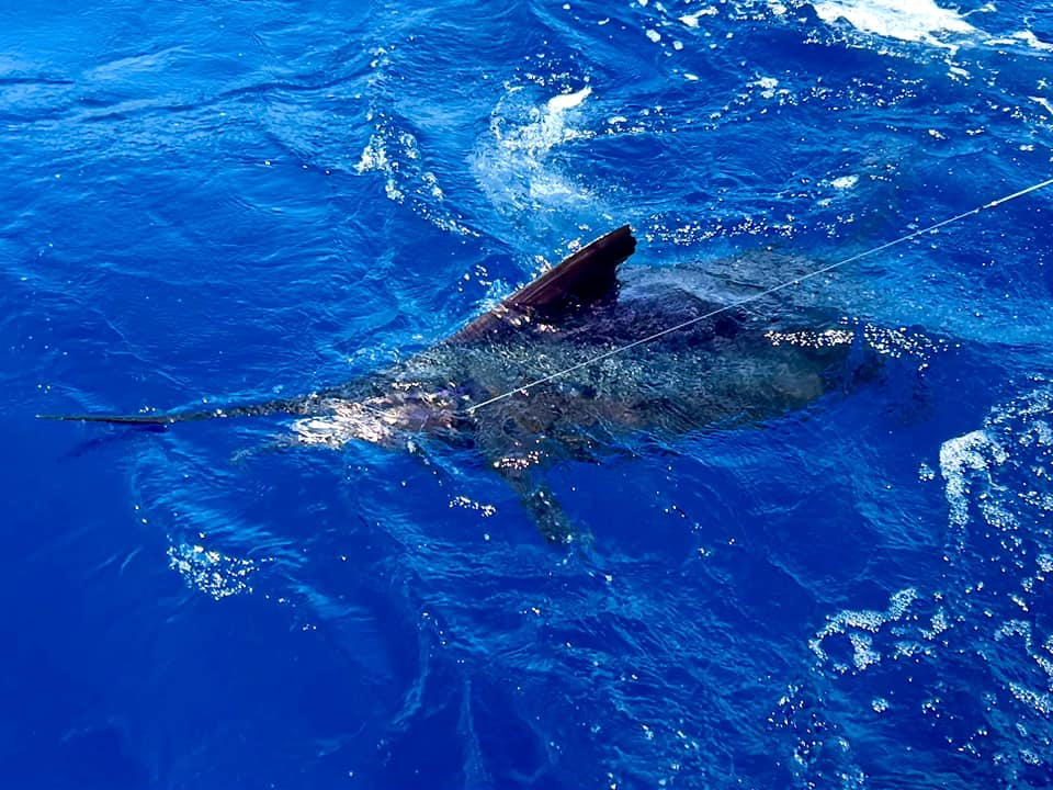 fishing success