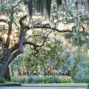 Palmetto Bluff SC