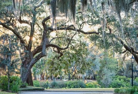 Palmetto Bluff SC