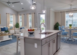 35 Caribbean Soul Avenue Unit 101