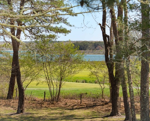 15 tamarack
